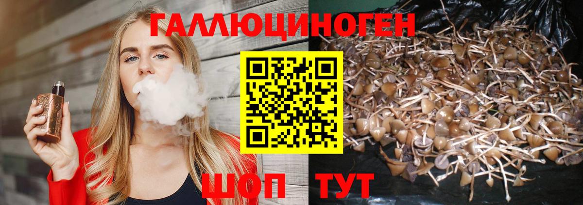 Галлюциногенные грибы Magic Shrooms Зеленогорск